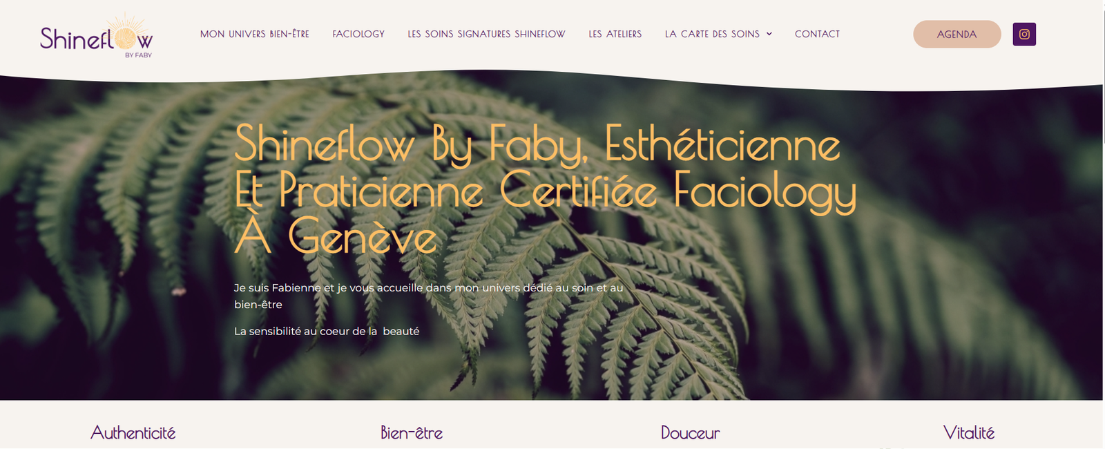 visuel home shineflow by faby